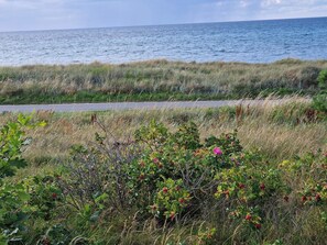 A coastal road with grassy areas and bushes in the foreground. - 4 Star Holiday Home in Glesborg (Glesborg)