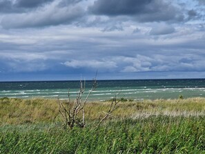 A coastal landscape with a grassy foreground and a view of the ocean under a cloudy sky. - 4 Star Holiday Home in Glesborg (Glesborg)
