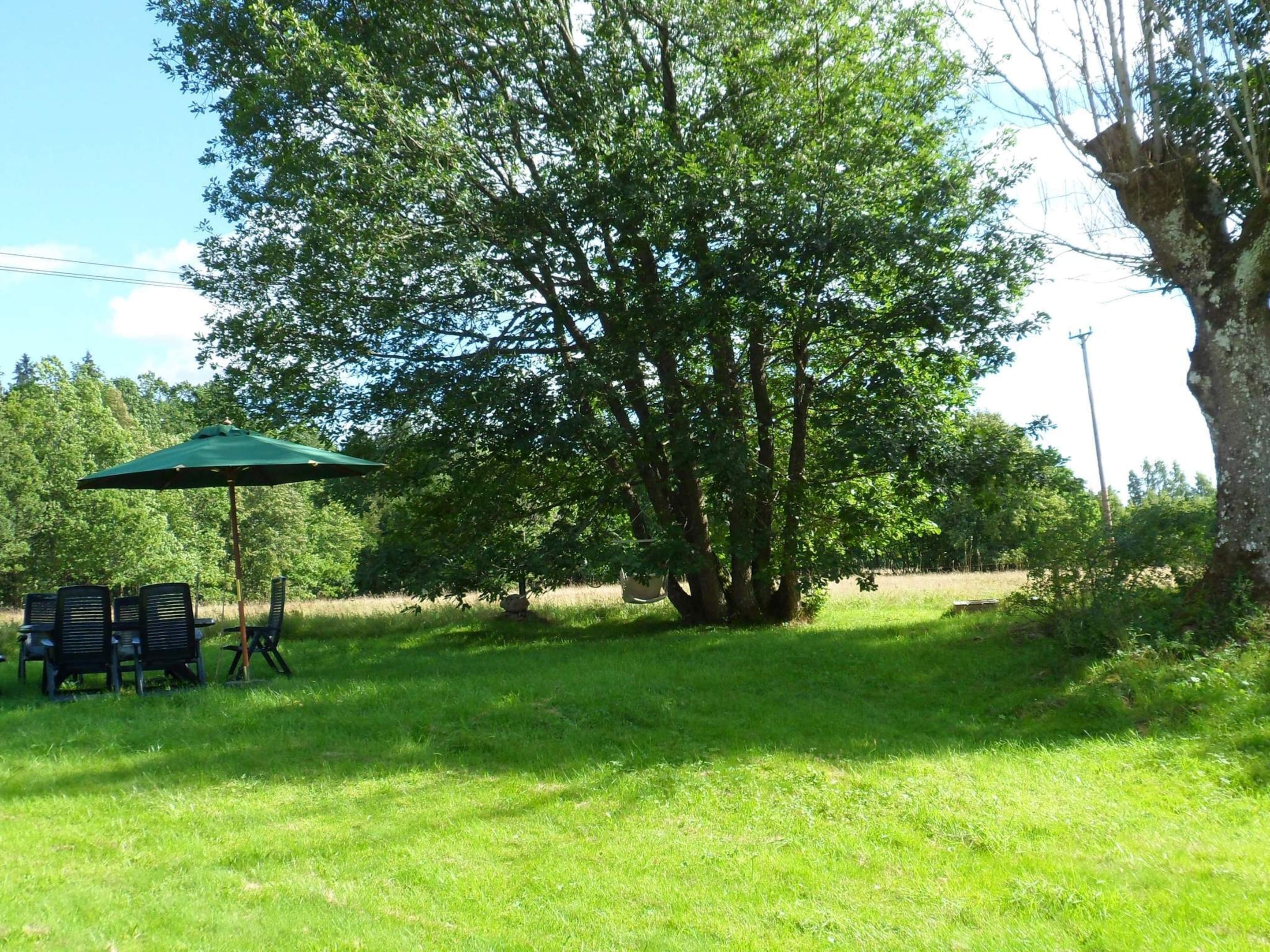 A grassy area with a large tree, a green umbrella, and a table with chairs.