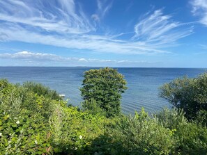 A coastal landscape with a clear sky, a body of water, and dense greenery.