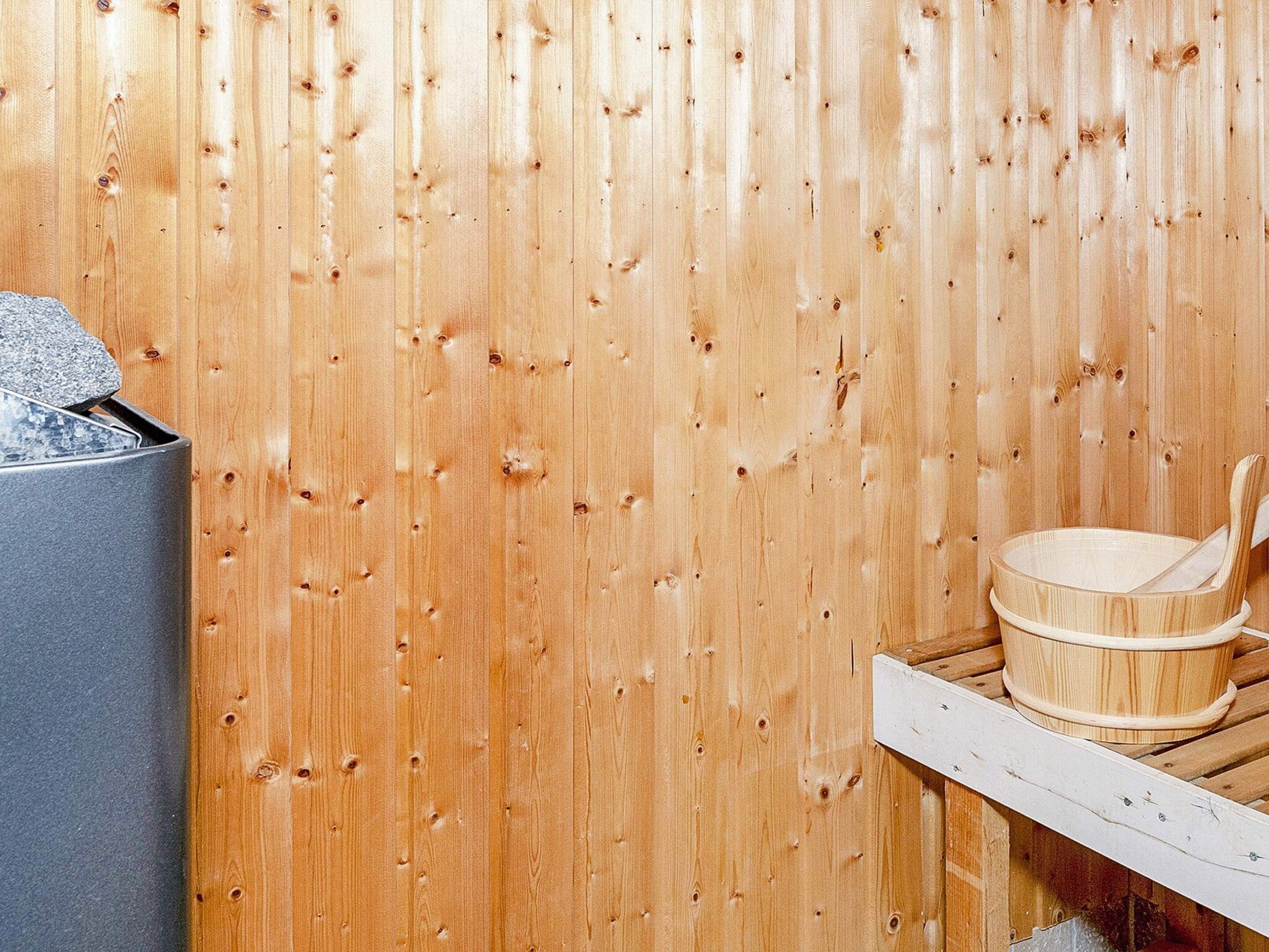 House | Sauna
