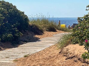 A wooden boardwalk leading to a beach with sand dunes and dense vegetation. - 5 Star Holiday Home in Tarm (Tarm)