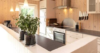 4 Star Holiday Home in Albaek