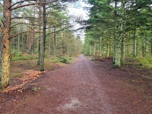 House | Miscellaneous