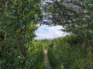 Miscellaneous - 6 Person Holiday Home in Humble-by Traum (Sydlangeland)