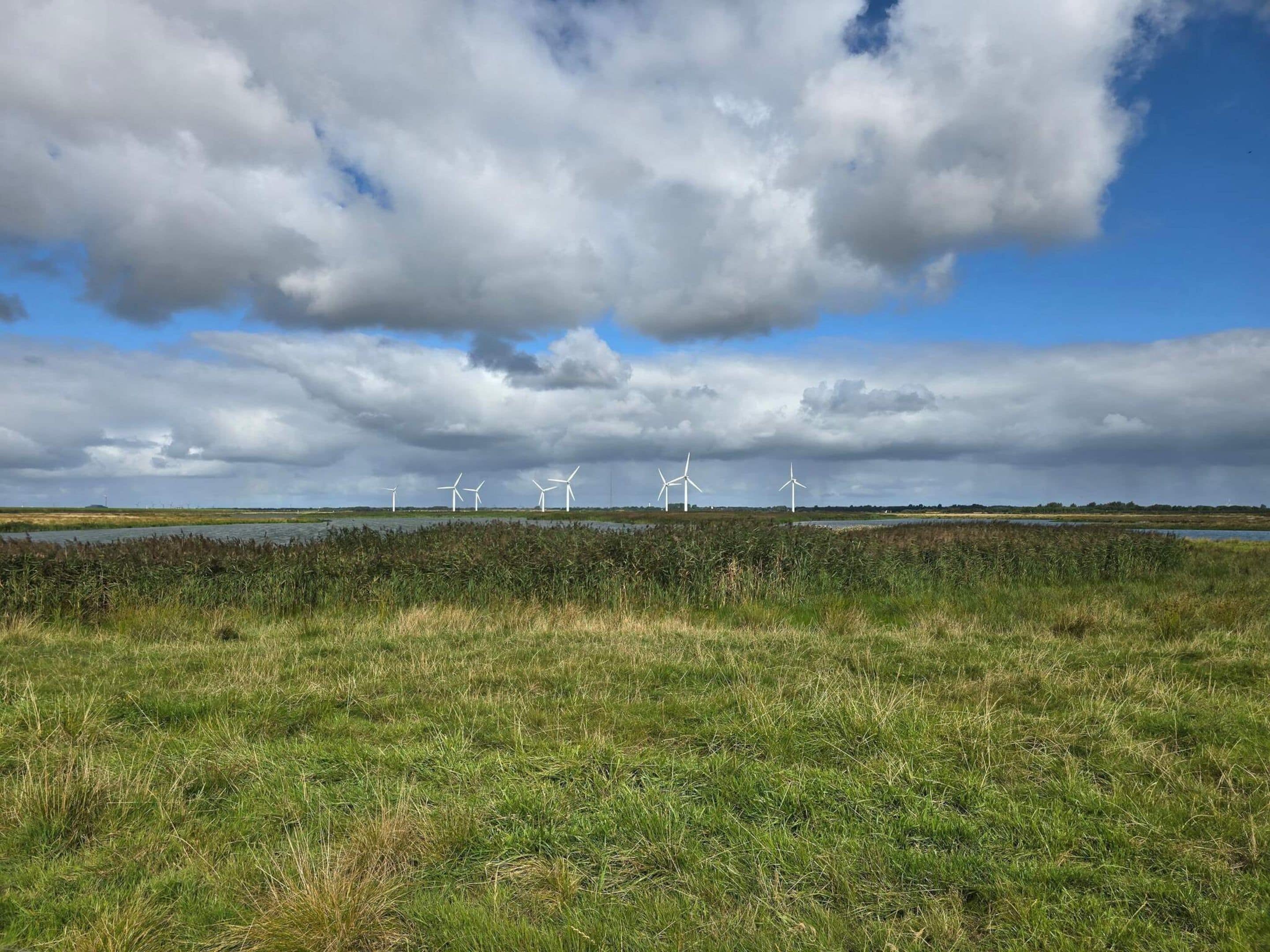 Un campo cubierto de césped con aerogeneradores a lo lejos bajo un cielo nublado.