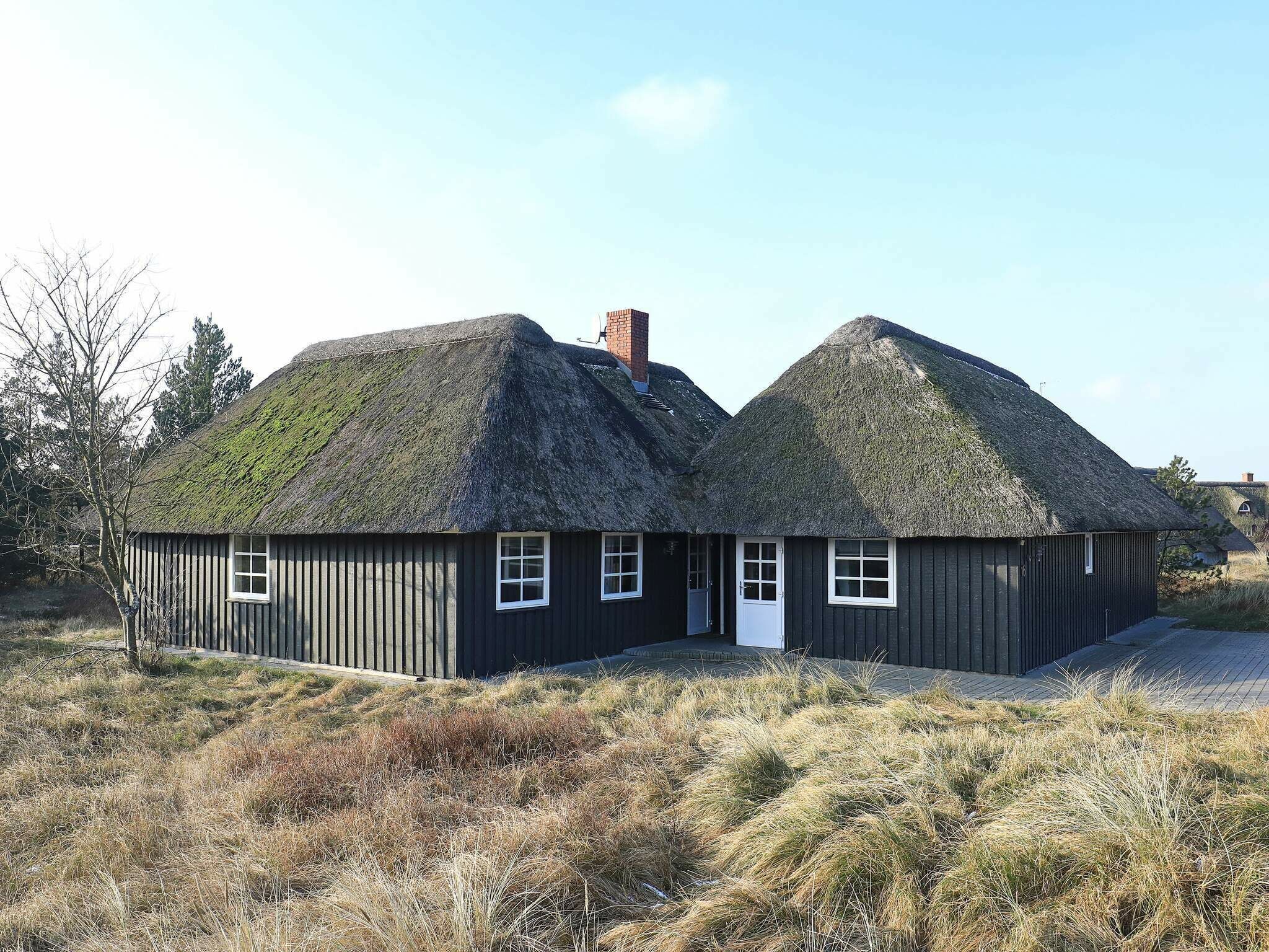 Udendørsområde