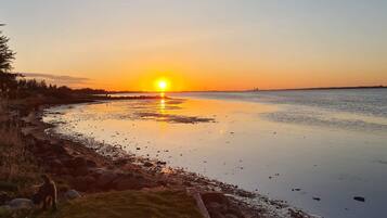 A sunset over a calm body of water with a grassy area and rocks in the foreground.