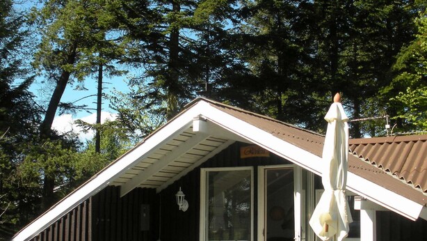 A small, wooden cabin with a sloped roof and a covered porch. - 4 Person Holiday Home in Jerup-by Traum (Jerup)