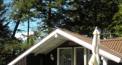 4 Person Holiday Home in Jerup-by Traum