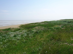 Un paysage côtier avec une partie avant herbeuse et une plage de sable.