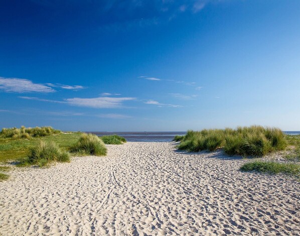 Vista desde la propiedad