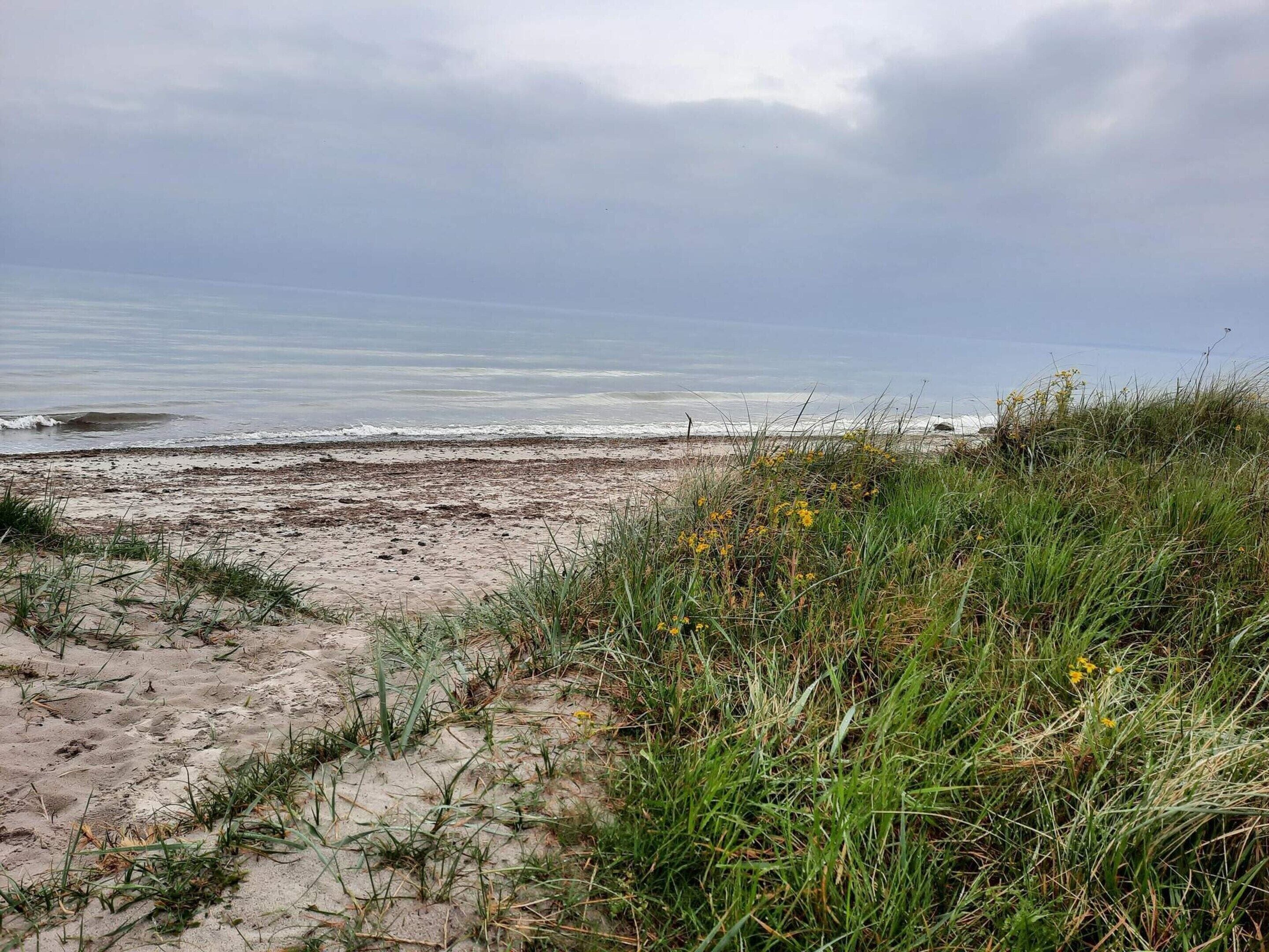 Ferienhaus | Strand | Angeln