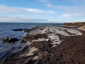 A rocky shoreline with seaweed and pebbles, a clear sky, and distant land. - 5 Star Holiday Home in Sydals (Sydals)