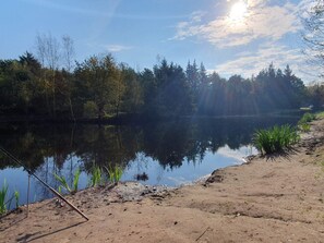 A calm lake with a fishing rod on the shore, surrounded by trees and clear skies. - 5 Star Holiday Home in Oksbol (Oksbol)