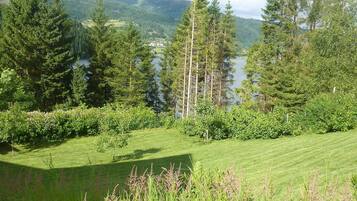 House | Property grounds