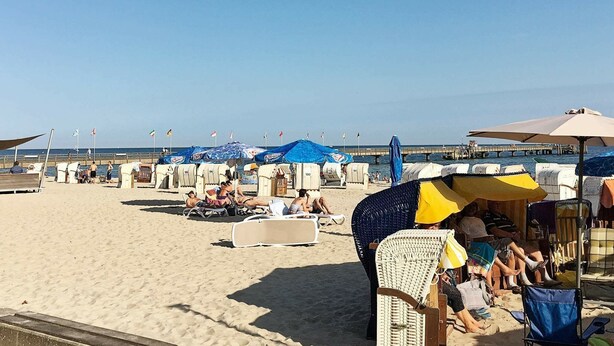 A beach with rows of beach chairs and umbrellas, a pier in the background, and a clear sky.
