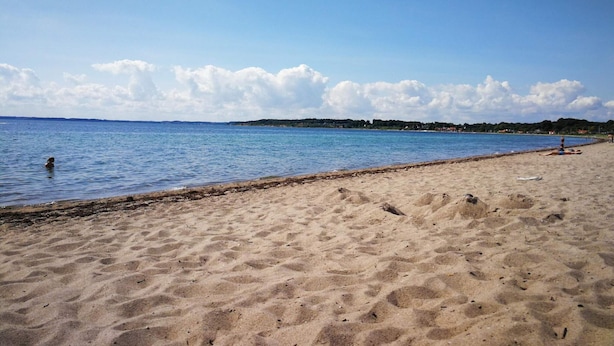 A sandy beach with calm water, a clear sky, and distant land. - 4 Star Holiday Home in Haderslev (Haderslev)