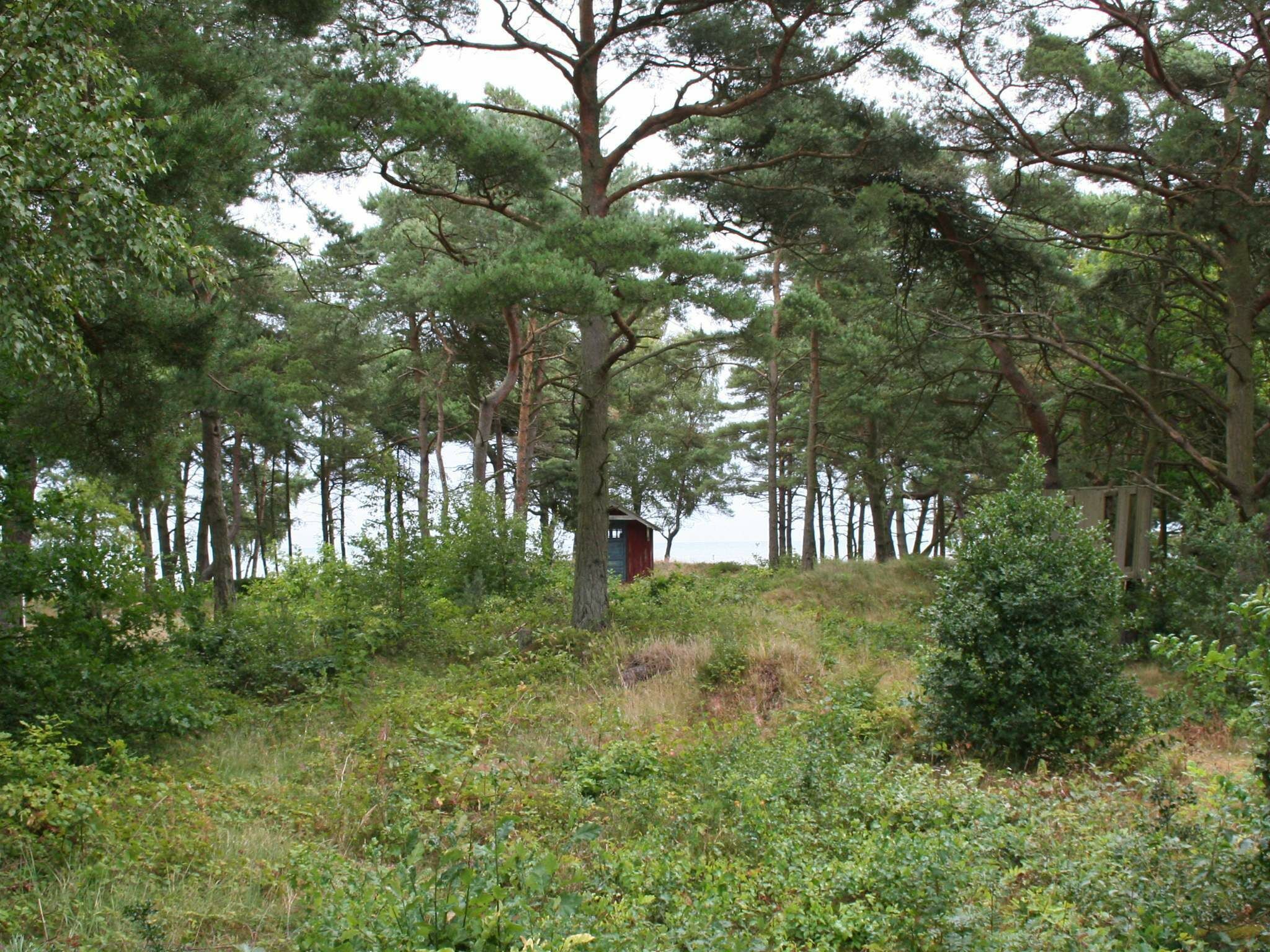 Ferienhaus | Blick von der Unterkunft