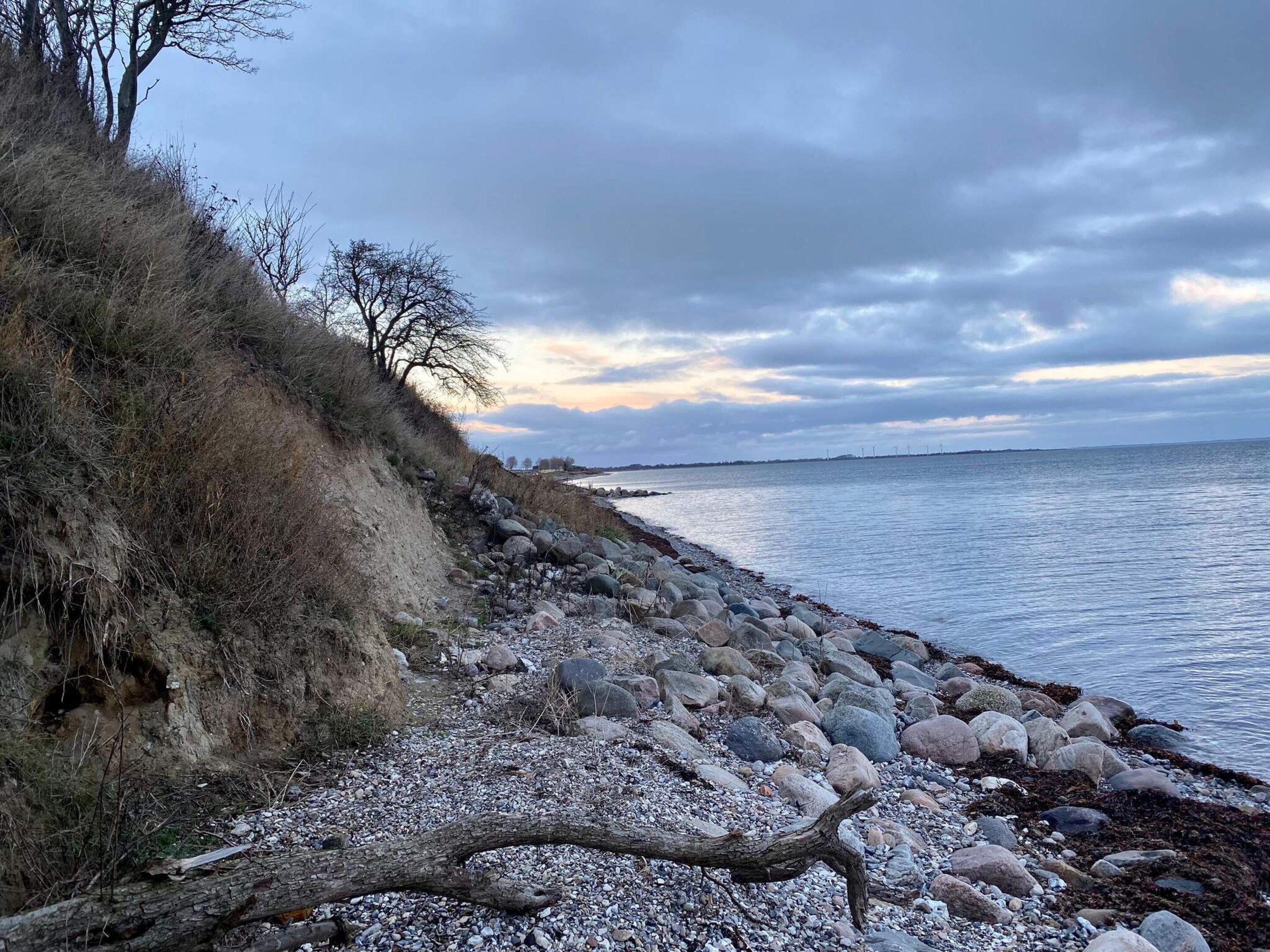 A rocky shoreline with a fallen tree, a grassy slope, and a calm sea under a cloudy sky.