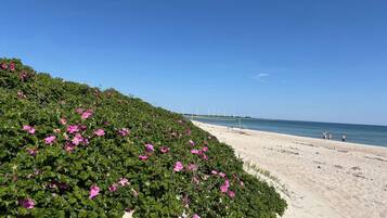 Ein Strand mit sandigem Ufer und einer Reihe von Windkraftanlagen in der Ferne.