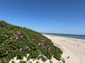 A beach with a sandy shore and a row of wind turbines in the distance. - 6 Person Holiday Home in Sydals (Sydals)