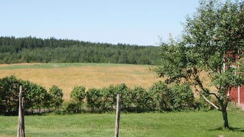Ferienhaus | Blick von der Unterkunft