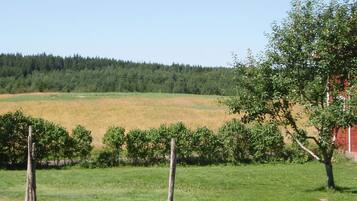 A rural landscape with a field, a fence, and a tree.