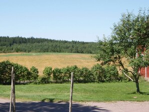 Un paysage rural avec un champ, une clôture et un arbre.