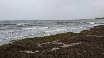 Een kustlandschap met golven die op een rotsachtige kust spoelen.