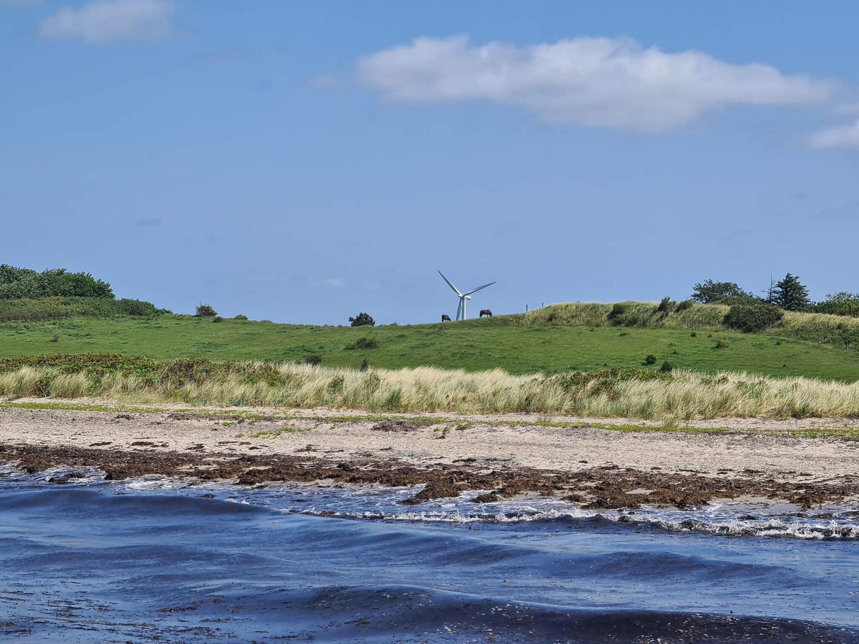 A coastal landscape with a grassy hill, a wind turbine, and a sandy beach.