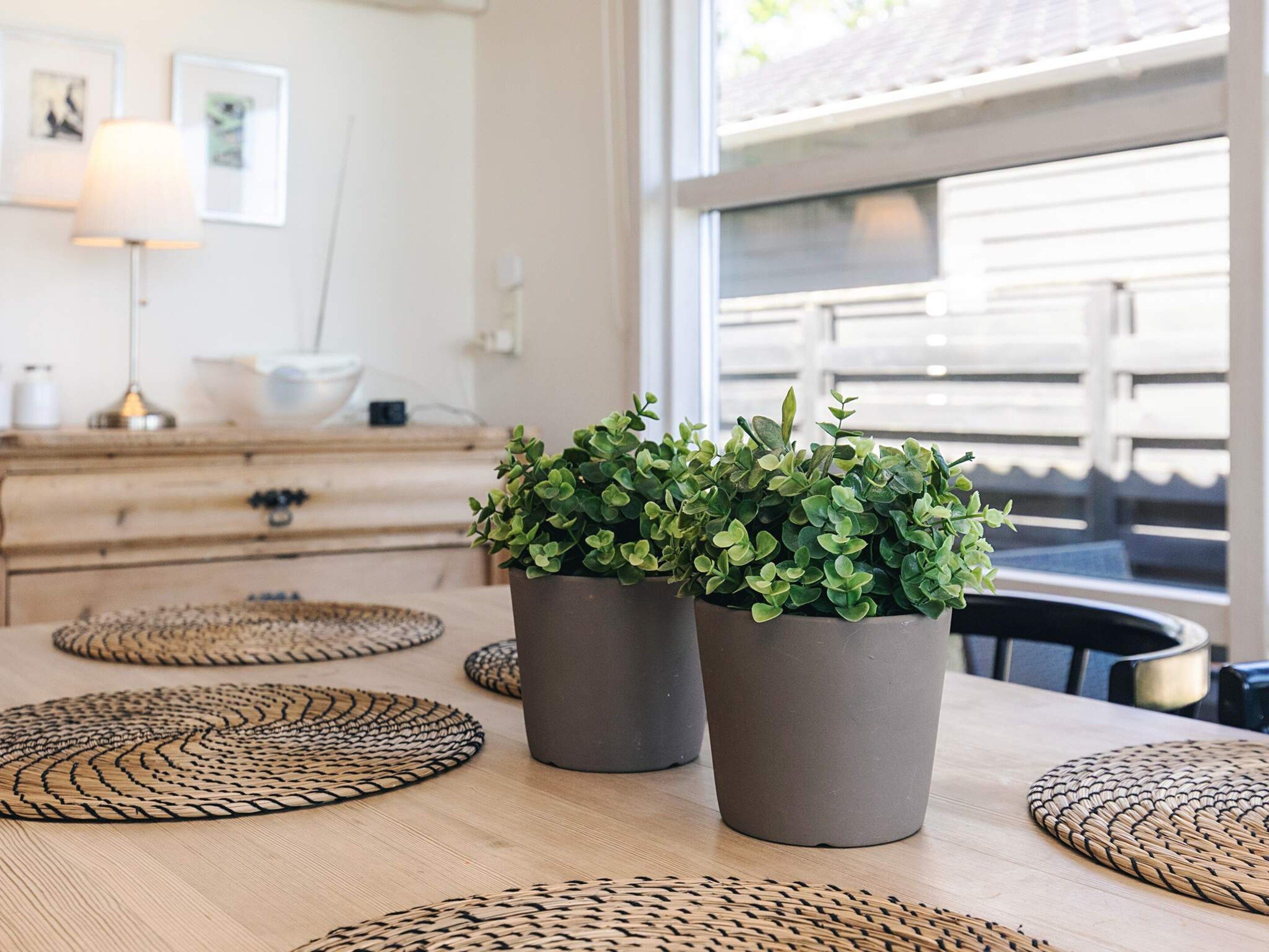 A dining table with woven placemats, two potted plants, and a view of a house through a window.