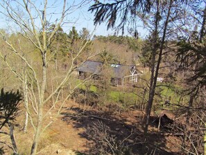 A rustic cabin surrounded by dense forest, with a clear view of the house and its surroundings.