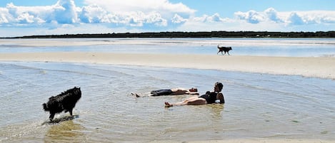 Ferienhaus | Strand