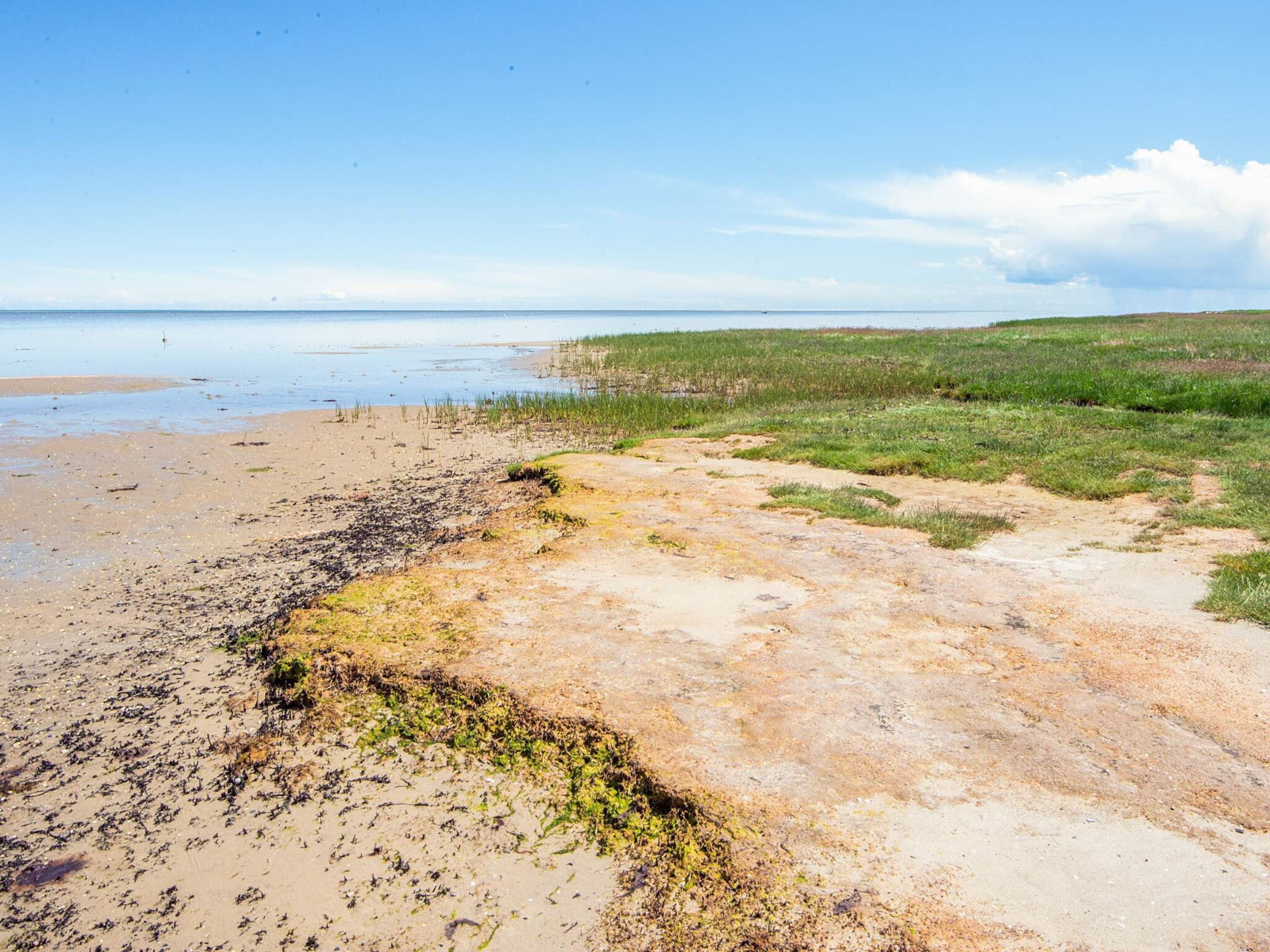Eine Küstenlandschaft mit Sandstrand, Grasflächen und blauem Himmel.