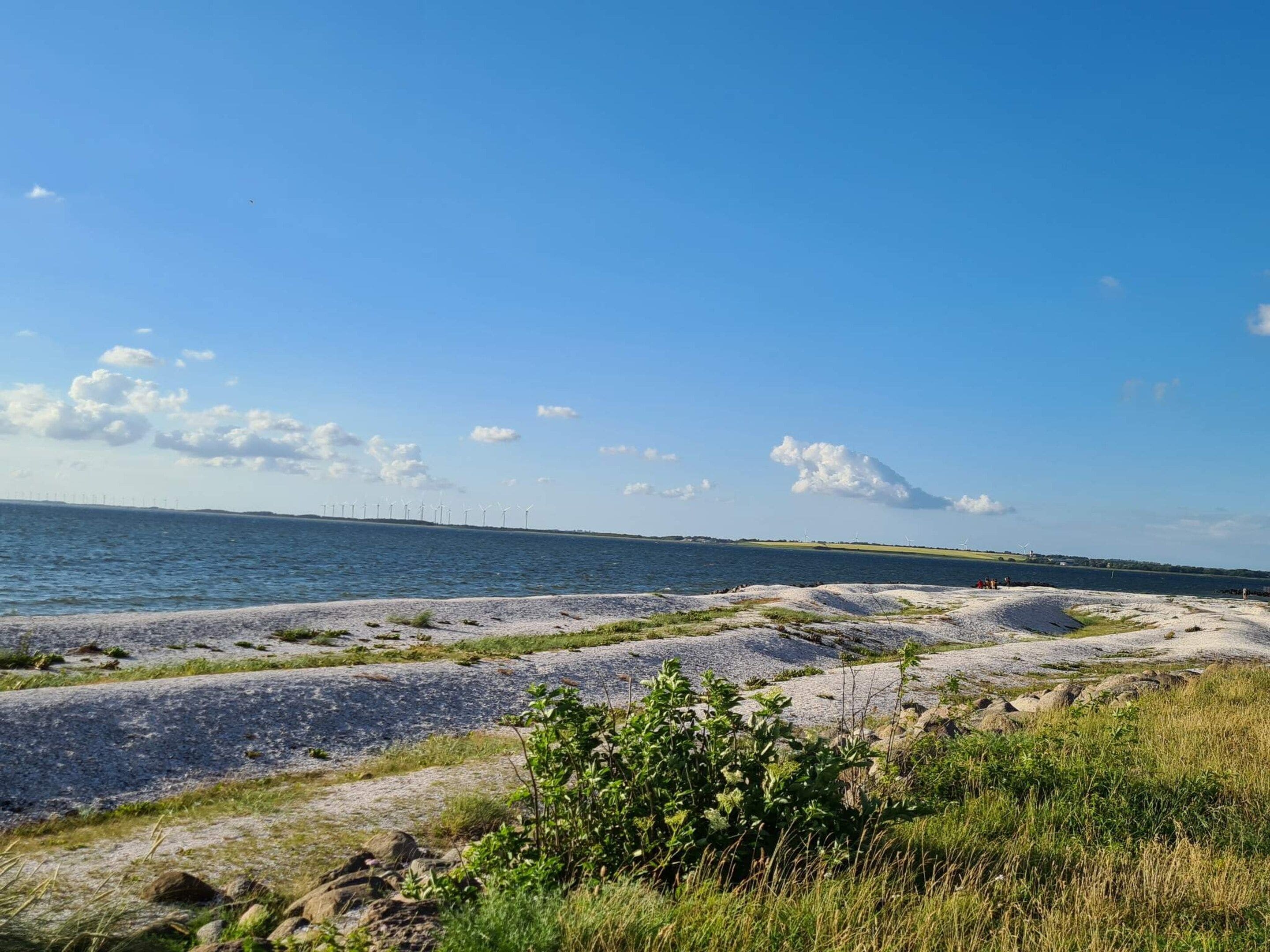 A coastal landscape with a clear sky, sandy beach, and wind turbines in the distance.