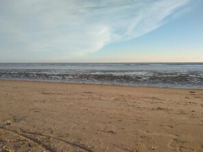 A beach with a sandy shore and the ocean in the background.