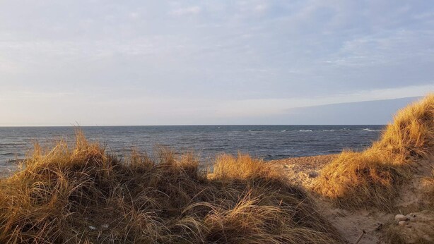 A coastal landscape with a sandy beach and grassy dunes. - 5 Star Holiday Home in Frostrup (Frøstrup)