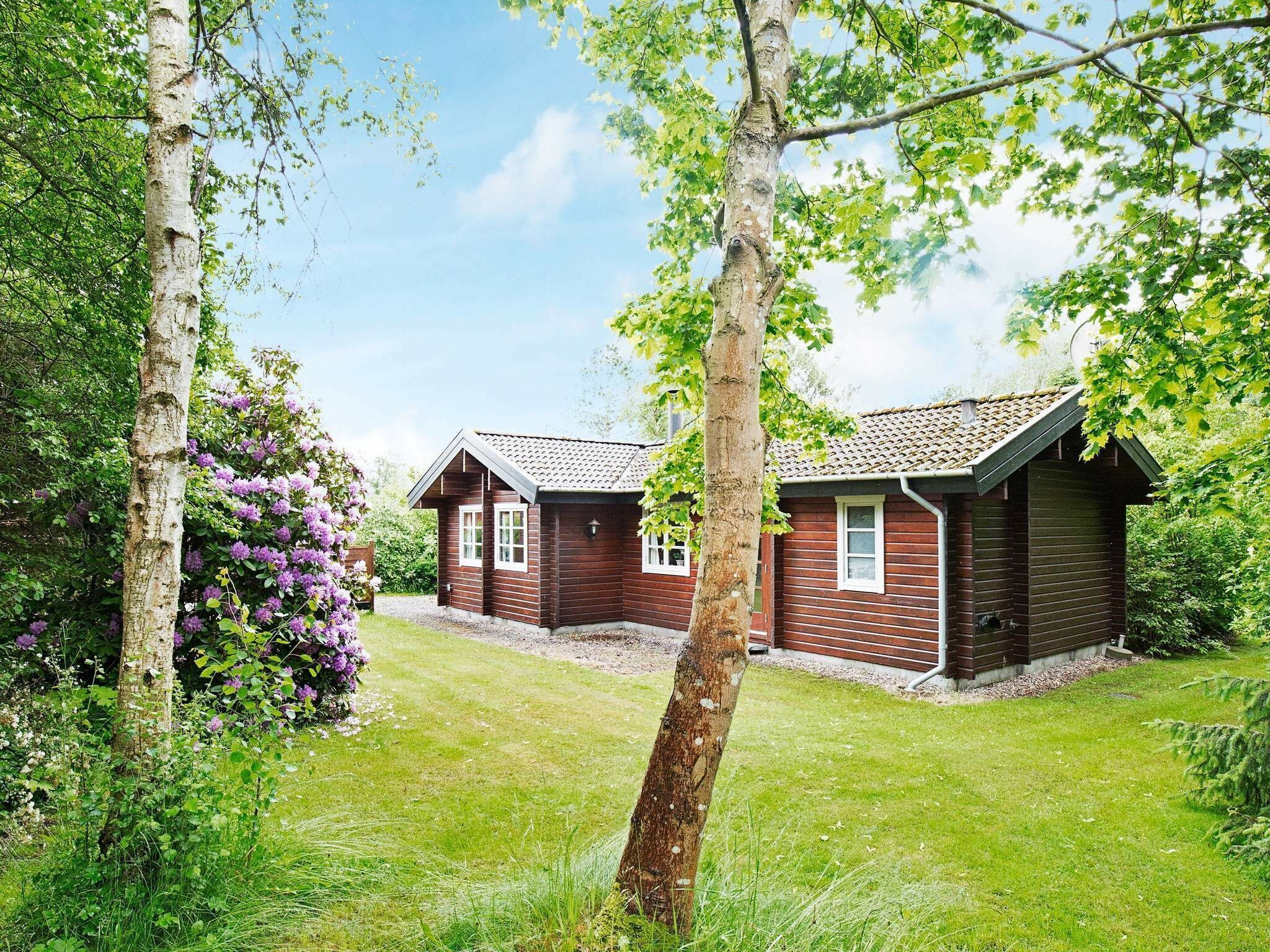 Udendørsområde