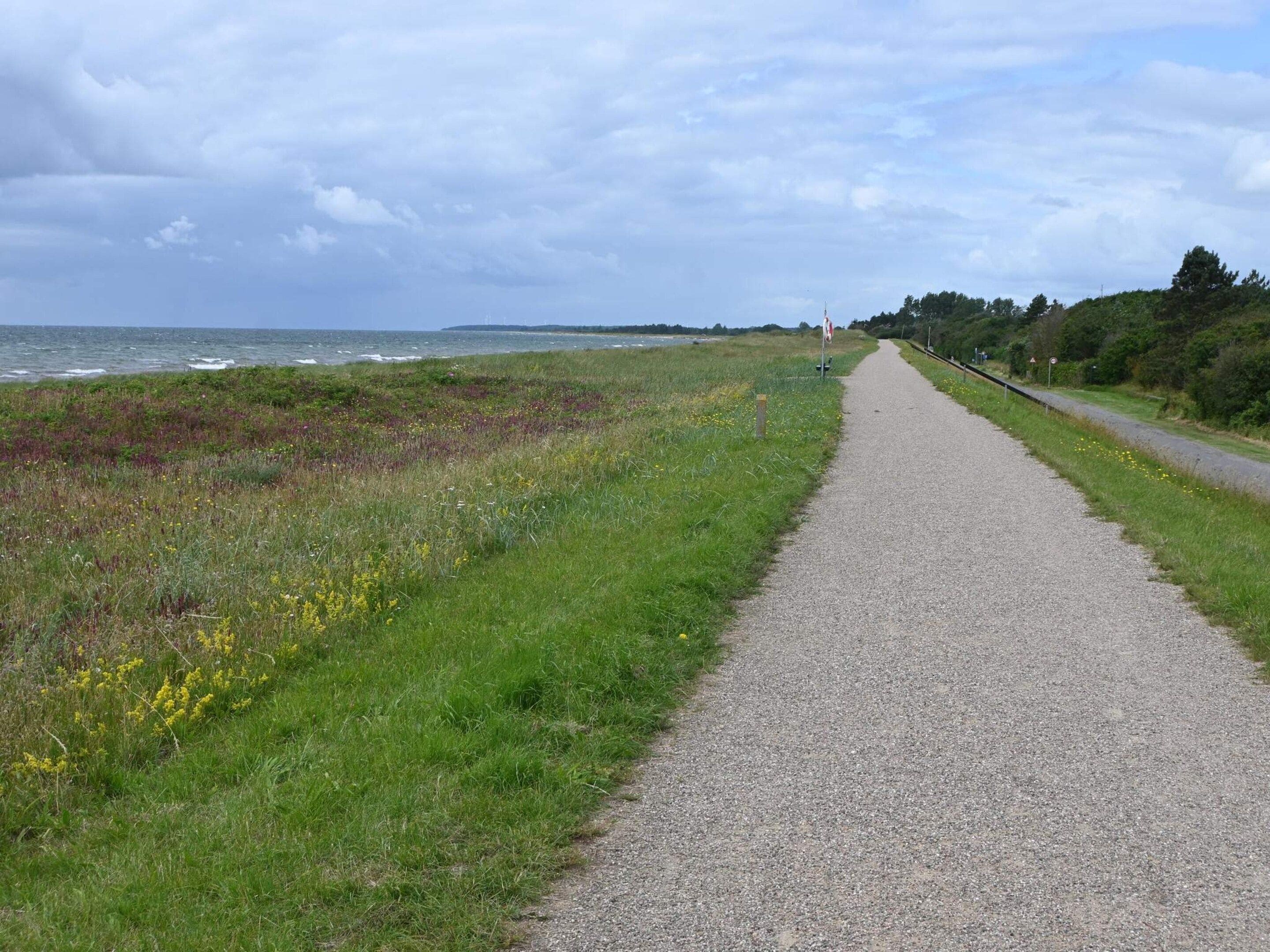 A gravel path alongside a grassy field with wildflowers, leading to a body of water.