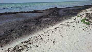 A beach with a mix of sand and dark, possibly volcanic, soil.