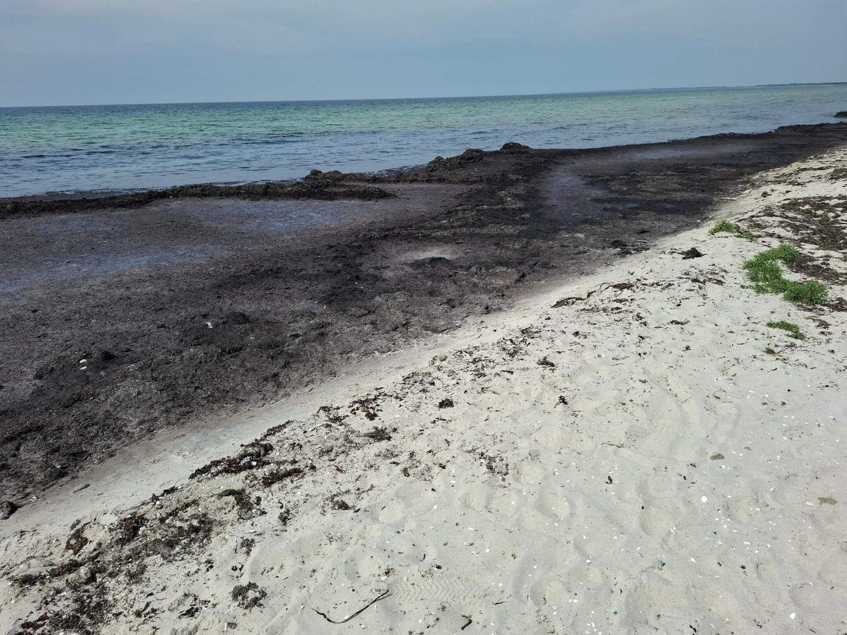 A beach with a mix of sand and dark soil, a clear sky, and calm sea.