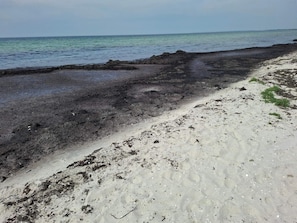 A beach with a mix of sand and dark soil, a clear sky, and calm sea. - Quiet Holiday Home in Rodby near Sea (Rodby)