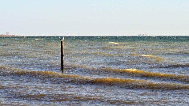 A body of water with waves, a wooden post, and a distant ship.