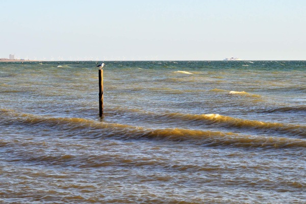 House | Water view