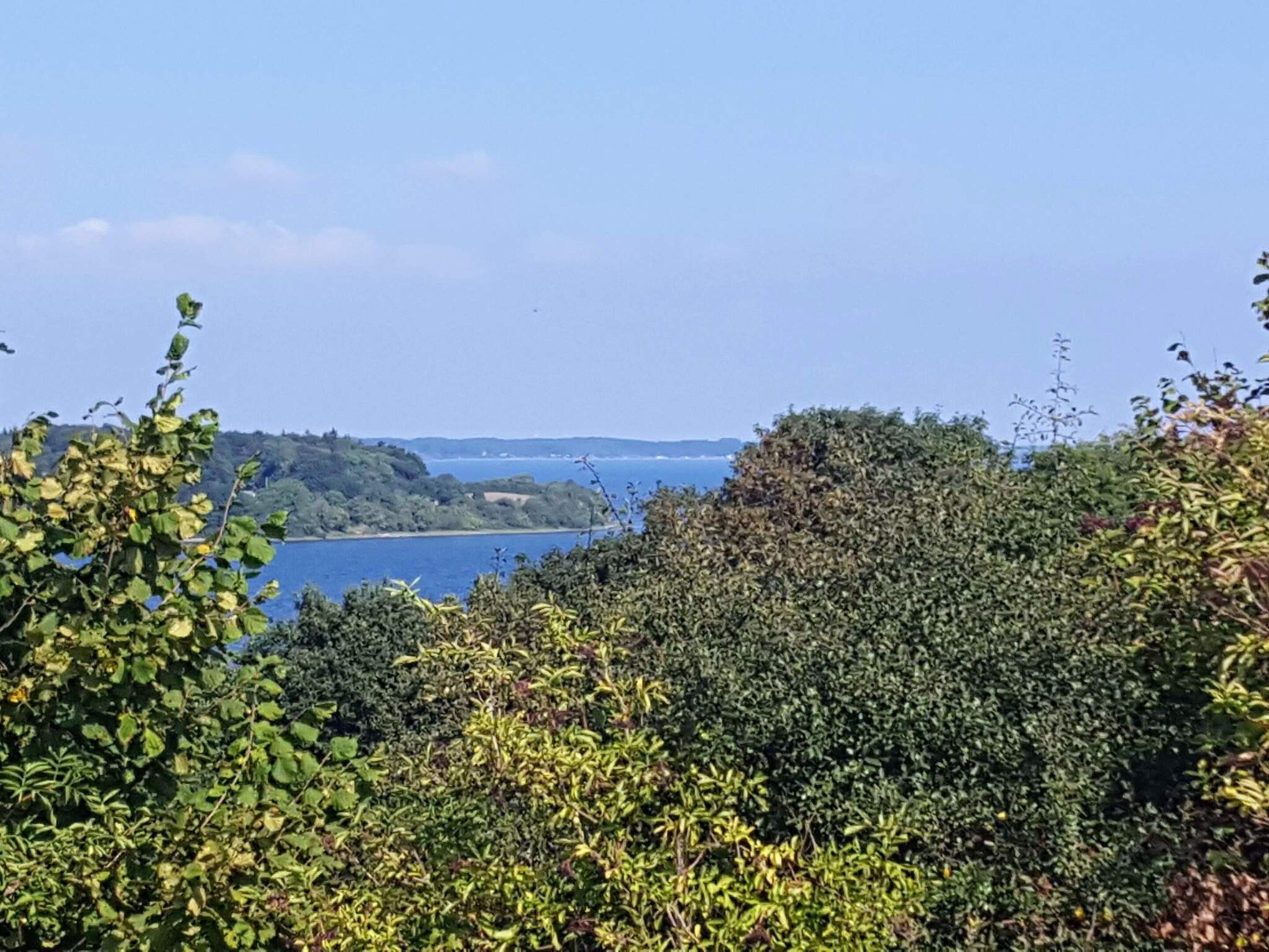 A view of a coastal landscape with dense foliage and a body of water in the distance.