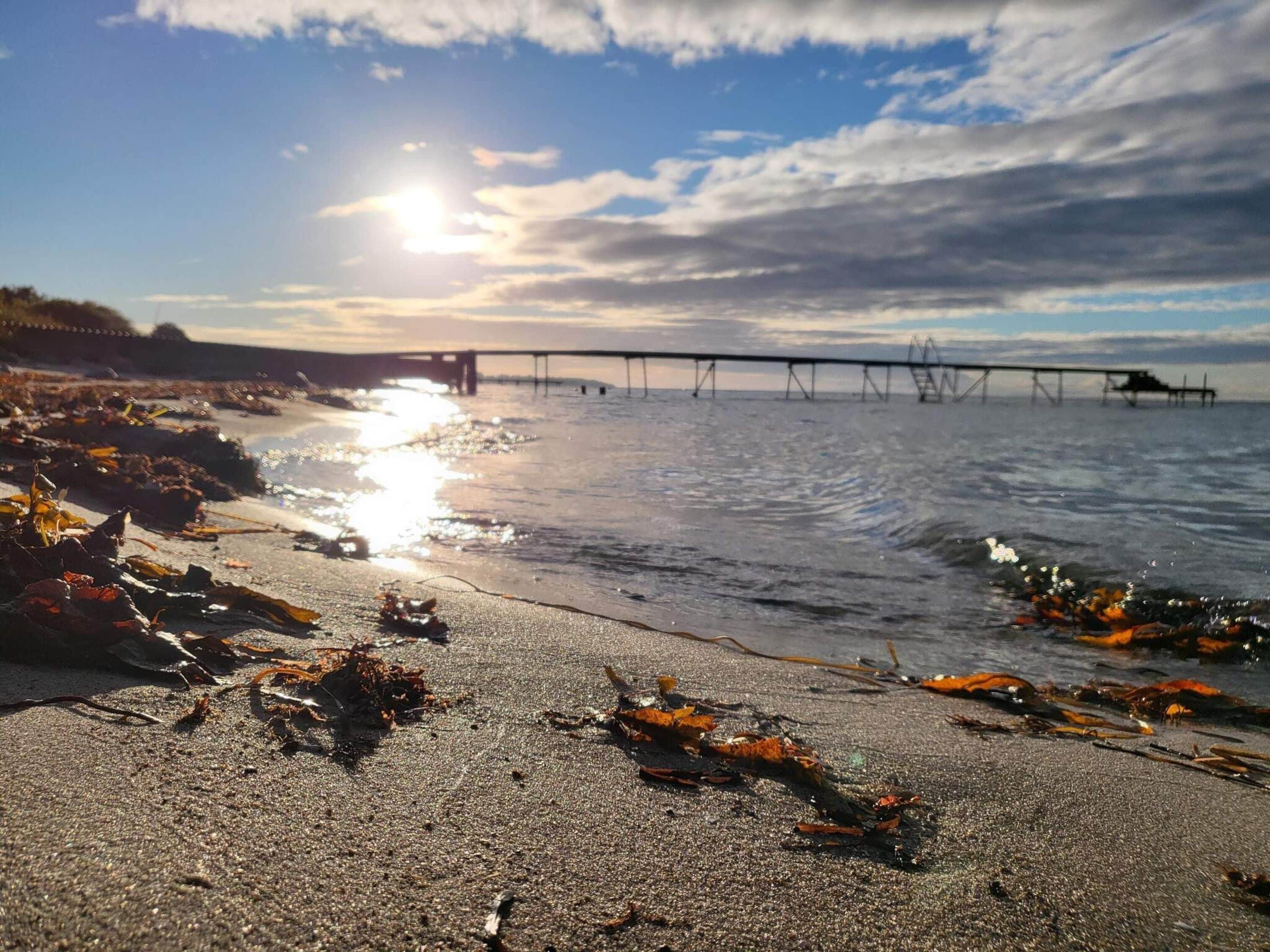 A beach with seaweed on the sand and a pier in the background.