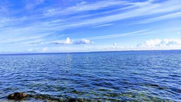 House | Water view