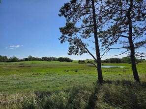 House | Miscellaneous