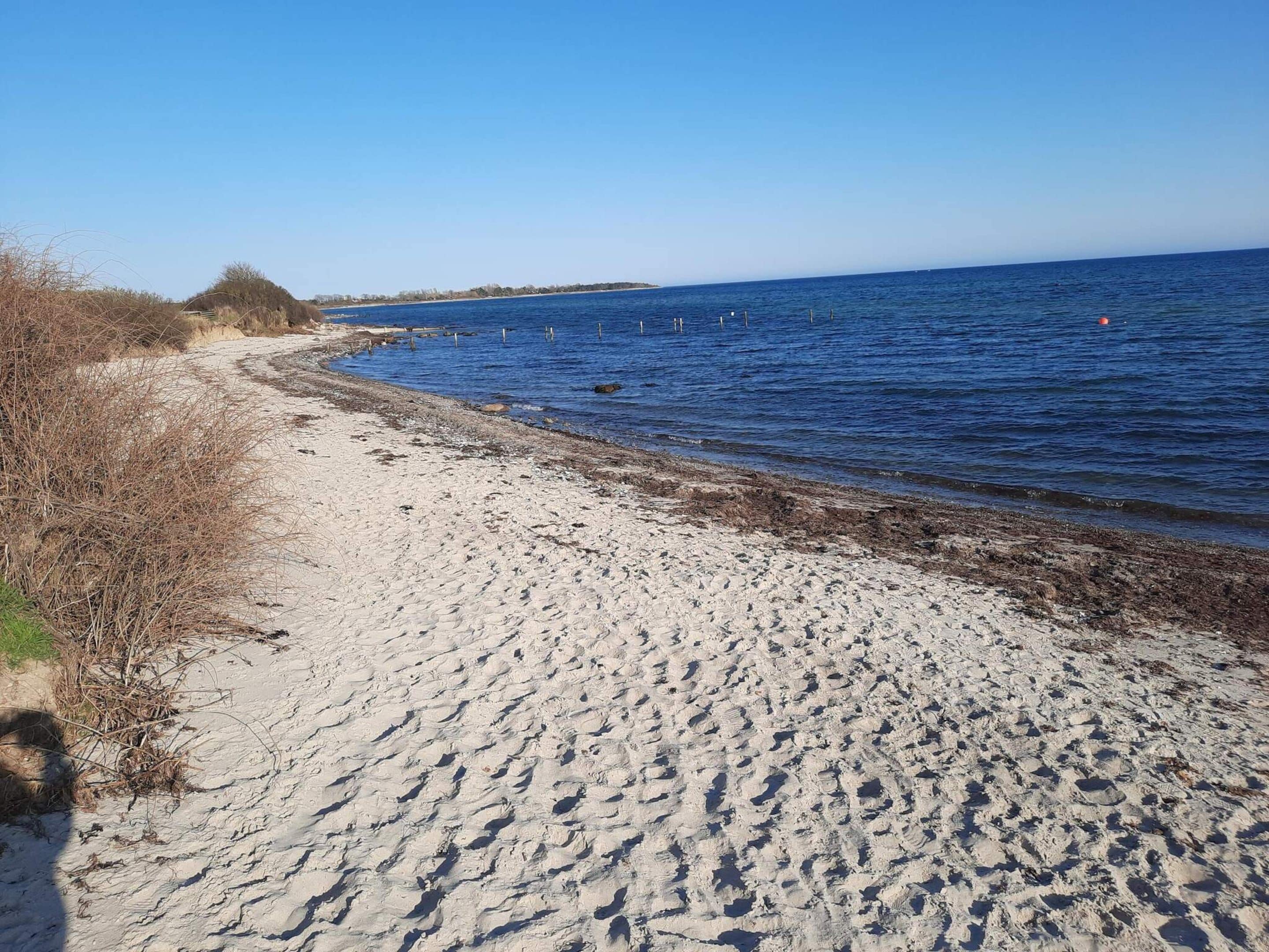 Een zandstrand met een helderblauwe lucht en een kalme zee.